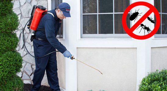 Çeşme Böcek İlaçlama böcek ilaçlama ve haşere kontrolü — ilaclama-tr.com